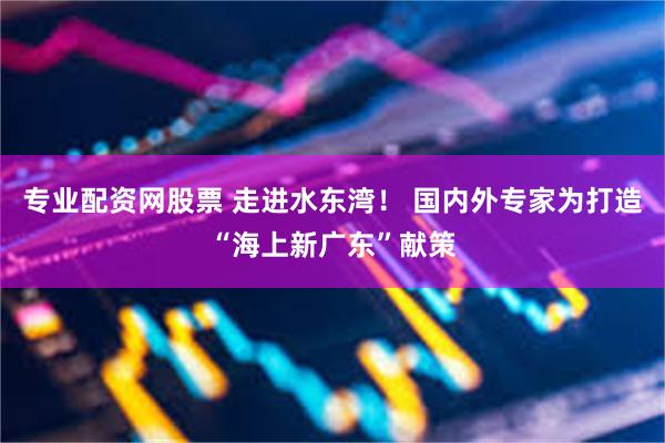 专业配资网股票 走进水东湾！ 国内外专家为打造“海上新广东”献策