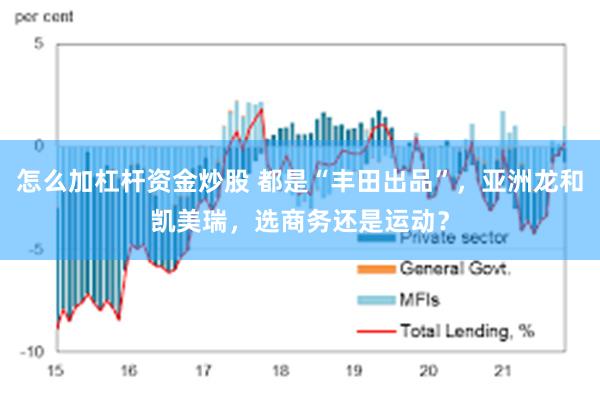 怎么加杠杆资金炒股 都是“丰田出品”，亚洲龙和凯美瑞，选商务还是运动？
