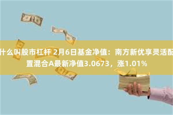 什么叫股市杠杆 2月6日基金净值：南方新优享灵活配置混合A最新净值3.0673，涨1.01%