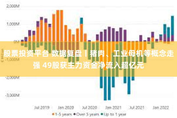 股票投资平台 数据复盘丨猪肉、工业母机等概念走强 49股获主力资金净流入超亿元