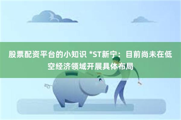 股票配资平台的小知识 *ST新宁：目前尚未在低空经济领域开展具体布局