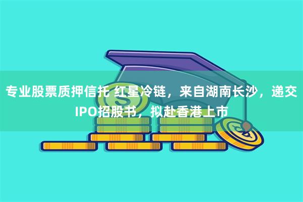 专业股票质押信托 红星冷链，来自湖南长沙，递交IPO招股书，拟赴香港上市