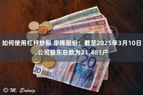 如何使用杠杆炒股 华锋股份：截至2025年3月10日,公司股东总数为21,481户