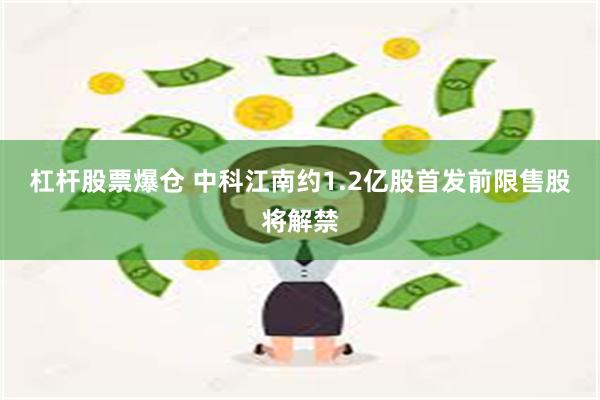 杠杆股票爆仓 中科江南约1.2亿股首发前限售股将解禁