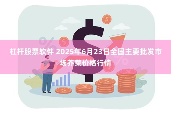 杠杆股票软件 2025年6月23日全国主要批发市场芥菜价格行情