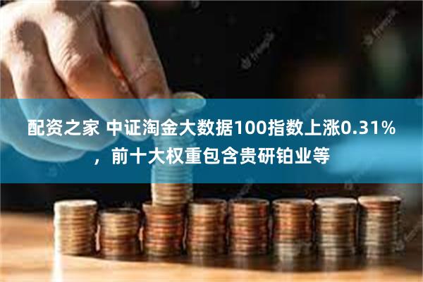 配资之家 中证淘金大数据100指数上涨0.31%，前十大权重包含贵研铂业等